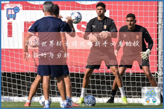 2026世界杯竞猜攻略新手必看的投注技巧与分析
