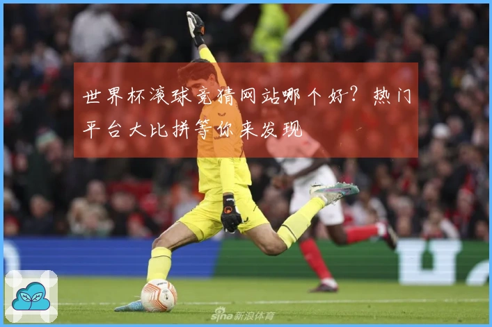 世界杯滚球竞猜网站哪个好？热门平台大比拼等你来发现