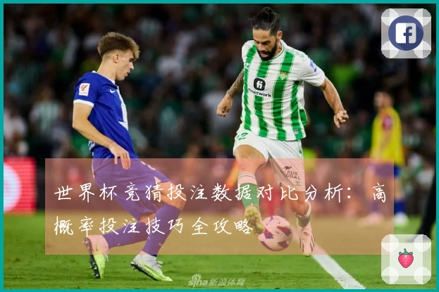 世界杯竞猜投注数据对比分析：高概率投注技巧全攻略
