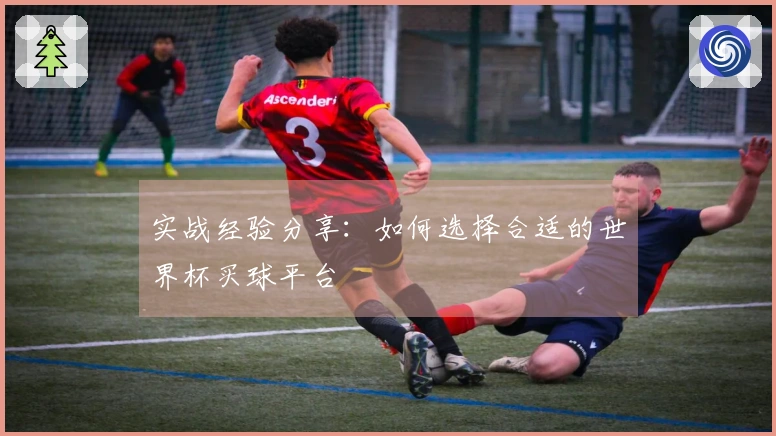 实战经验分享：如何选择合适的世界杯买球平台