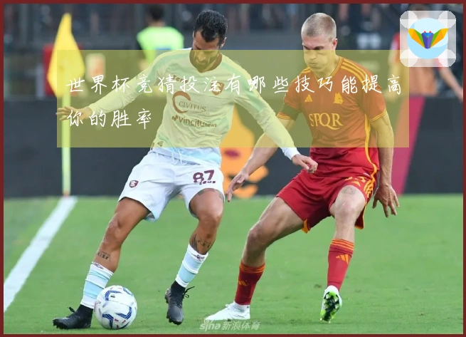 世界杯竞猜投注有哪些技巧能提高你的胜率
