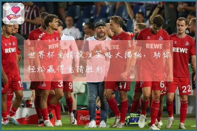 世界杯竞猜投注策略大揭秘，助你轻松赢得竞猜胜利