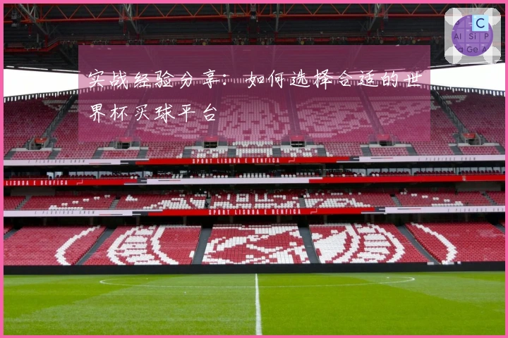 实战经验分享：如何选择合适的世界杯买球平台