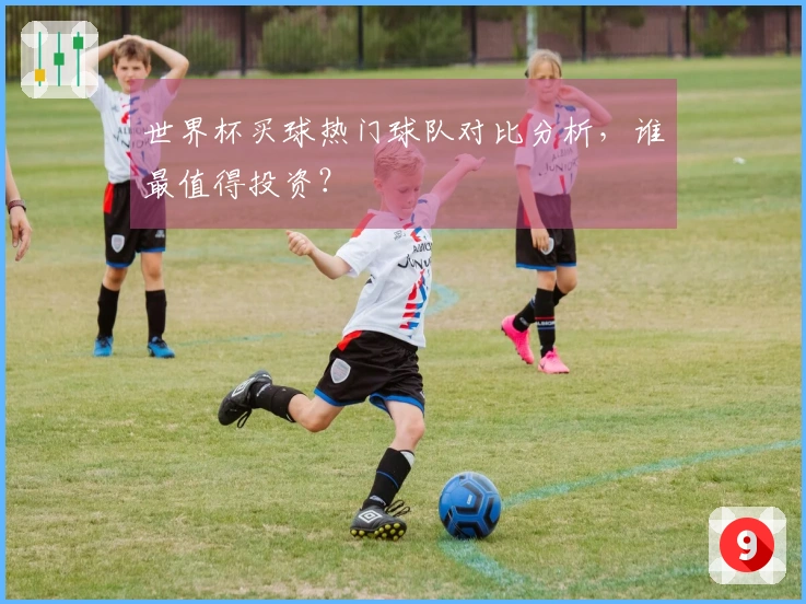 世界杯买球热门球队对比分析，谁最值得投资？