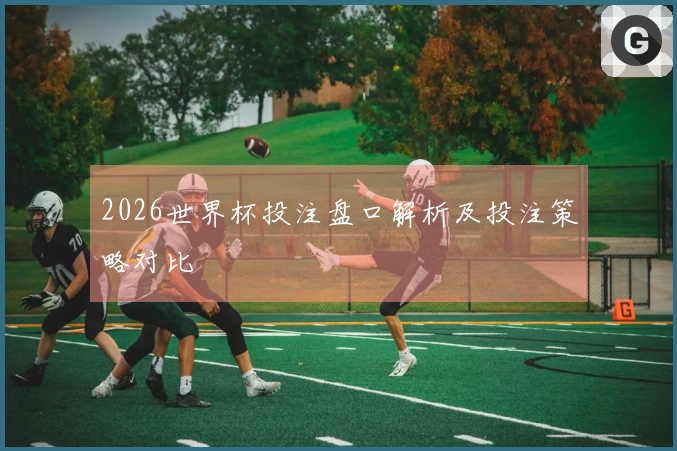2026世界杯投注盘口解析及投注策略对比