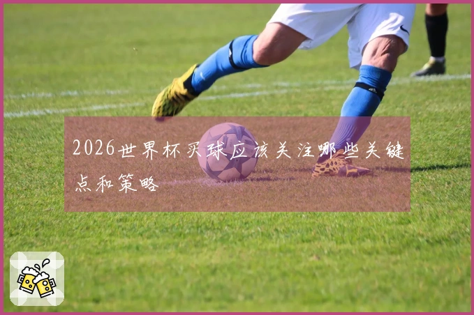 2026世界杯买球应该关注哪些关键点和策略