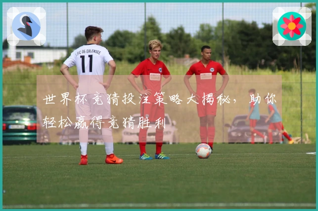 世界杯竞猜投注策略大揭秘，助你轻松赢得竞猜胜利