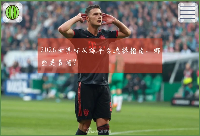 2026世界杯买球平台选择指南，哪些更靠谱？